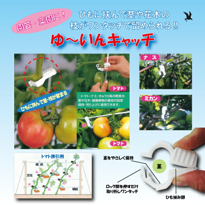 楽天市場 園芸用保持具 紐誘引用 ゆ いんキャッチ 白 24個入 Yw 24 誘引 花 木 トマト ナス 紐 テープ 園joy Marutoyo