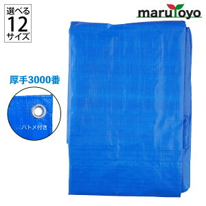 [Iׂ3TCY] u[V[g #3000  ngt 2.7m x 2.7m` [ 3000 Hp ʉƒ h W[ h AEghA ς݃Jo[ ω׃Jo[ ]