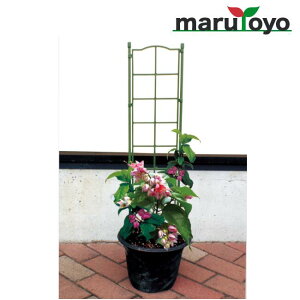 t[pl VO 15cm 75cm rj[ DAIM y ƒ؉ x I ̗pI イ | gX  x_ ډB  fR[V CeA z