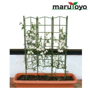 t[pl gv 45cm 75cm rj[ DAIM y ƒ؉ x I ̗pI イ | gX  x_ ډB  fR[V CeA z