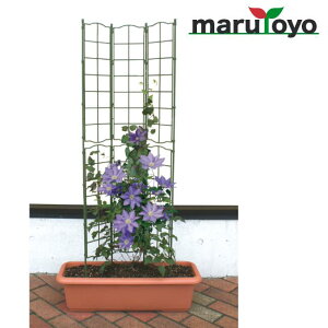 �t�����[�p�l�� �g���v�������O ��45cm ����125cm ���r�j�[�� DAIM �y �ƒ�؉� �x�� �I ����̗p�I ���イ�� ���| �g�����X �� �x�����_ �ډB�� �� �f�R���[�V���� �C���e���A �z