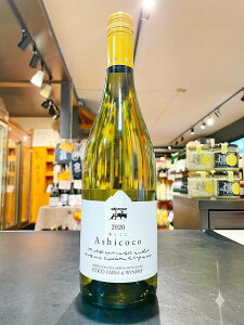 @Ashicoco@C@RREt@[ECi[@2023N@YC@i`[C@R̓C@Ȗ،@s