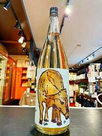 久米桜　生もと　久米桜　Hi チーズ 　R6BY　久米桜酒造　熱燗　燗酒　人気　父の日　お中元