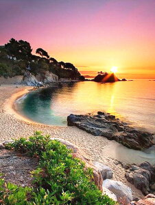 _ChA[g Lbg S  C L r[Y hJ r[YA[gLbg _ChtBbNX G i _CAhA[g y c[ Zbg _Ch A[g Lbg S