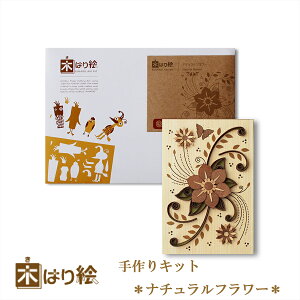 _SiGg[P10{I^ y  z؂͂GLbg i`t[ A[g ؂G ؂͂ VR Lbg ؍H ̂ Y Mtg Ă rMi[x / CeA 