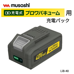 _XSiGg[10{I^ [d u oL[ TV LiB-40 Li|ion 40V MAXobe[