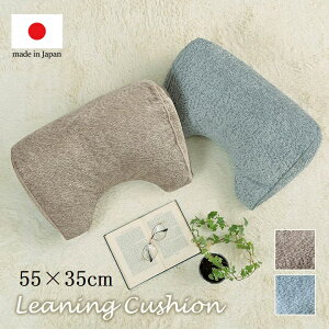 NbV 肩 w 낮 Vv Y { 55×35×25cm N[T ӂӂ   n Vv \t@NbV