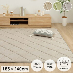 _XSiGg[10{I^ O ɂ h {[  􂦂  ₷  n 185×240cm 3 g[ zbgJ[ybgΉ ~zc }bg J[y