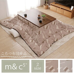 _XSiGg[10{I^ zc ` `  |zc p[ 2TCY 1330760020702  y y ӂ e ۉ CeA ȃGl GR