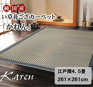 Y CԂJ[ybg wx ]ˊ4.5(261×261cm)ԕ   O v e a m _CjO rO VR R hL Y {