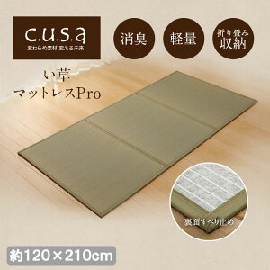 }bgXPro ܂肽  u y R L z {120×210cm Z~_u 1360140011301