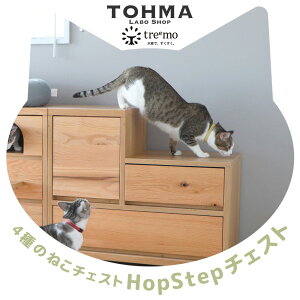 _XSiGg[10{I^ Hop Step`FXg TRM017 treemo `FXg Ƌ ybgƋ L ˂ CeA [ I Vv i` ؐ