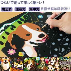 楽しく脳トレ　スクラッチアート　犬猫編 削る つなぐ 絵描き アート スクラッチ 脳トレ 物忘れ ストレス 解消 集中力 注意力 活性化 作品 行事