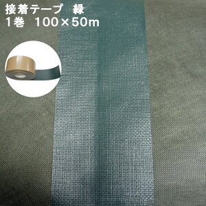 _XSiGg[10{I^ GAW ڒe[v 100mm×50m  GAV[Y NITTOSEKKO ڒ e[v hV[g  K[f