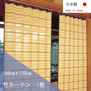 _XSiGg[10{I^ |J[e 100×170cm 1 TC52170  J[e ډB  cY | ou[J[e {