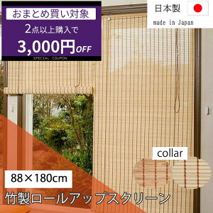 y23000~OFFz|J[e 100×170cm 1 TC52170  J[e ډB  cY | ou[J[e {