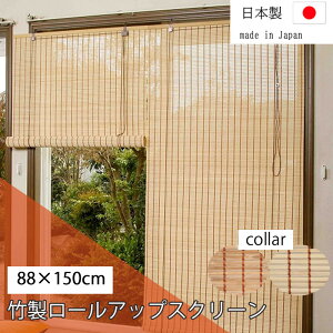 _XSiGg[10{I^ |[AbvXN[ 88cm×150cm TSR262150/263150  |     O Ռ Y cY [XN[ [J[e