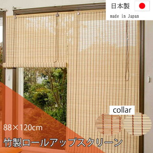 _XSiGg[10{I^ |[AbvXN[ 88cm×120cm TSR262120/263120  |     O Ռ { Y cY [XN[ J[e