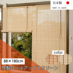 _XSiGg[10{I^ |[AbvXN[ 88cm×180cm TSR262180/263180  |     O Ռ { Y cY [XN[ J[e