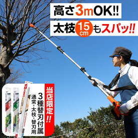 ＼エントリーで最大P19倍＆10％OFFクーポン／ 【兵庫県三木産 替刃3種付】高枝コードレス電動のこぎり 3m ハイパワー 軽量 電動ノコギリ 高枝切り電動チェーンソー 充電式 小型 剪定ヤードフォース 太い枝 即納【正規品・1年保証】のこぎりライト