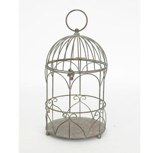 _XSiGg[10{I^ ut[o[hP[W 6085 K[fjO Ԓd K[fjOpi   Aؔ v^[ 