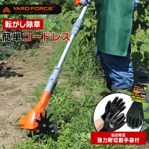 _XSiGg[10{I^ R[hX  @ YARD FORCE [htH[X12V  Ŋ K[fjO | | S~o G ȒP Ǎ  
