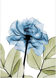 KX Vzj V œ\ V[ Ȃ  rO  xbh[   fM  tB