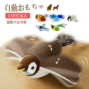 bgߋ XgXU L炵 ]  lV d{[ mߋ 얞  Ԓ d