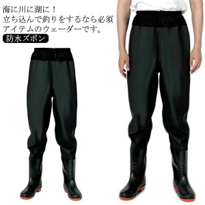 fB[X Y 傫TCY k tC  | ЊQ h y _  t _ AEghA Y 