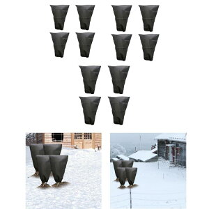 4Zbg AAp  OA ВobO AuPbg h~veN^[