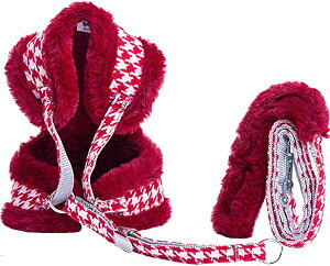 S bh o U h~ ߉\ ʋC ~p Ȃ ȒPE \tg Lp  n[lX