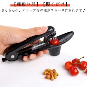 Lb`pi ^g ȒP 邾 `F[̎픲 Ƃ ˎ j WÂ ~̎ TN{ 