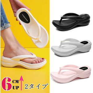  r[`T_ Xbp  gOXbp fB[X gO 6cmgOT_  r r[T T_