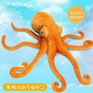  LbY HALLOWEEN v[g { nEB 傫TCY q NX}X A nEB a ^R Cm