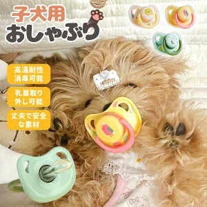 100ϕő pԂ q?qLp ËVRԂ藣XgX oPABPAt[ 邨