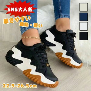 Cq[Xj[J[ fB[X 5c ؍ V[Y EH[LOV[Y ₷ h O y _bhXj[J[