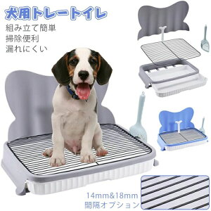 g[j p ybggC pgCg[ gC