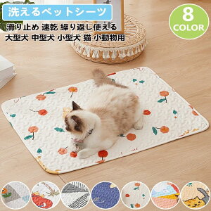 gCg[ ybgV[c 􂦂 pbh  L ~ߕt Rh~ TCYyQ̋z͂ƑzOd\ Size 5