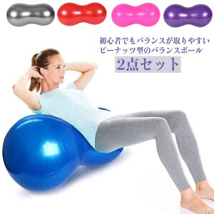 ̊ Kg[jO K{[ 傫TCY GNTTCYObY 50×100cm l nr oX{[ {[ 2_Zb