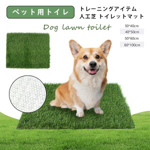 ���� �q�� ���p ��^�� ���^�� ���^�� �g�C���g���[�j���O ���� �g�C�� �g�C���V�[�c �J��Ԃ��g���� �􂦂� ���p�g�C�� �y�b