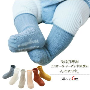 V  oYjv[g AEghA  ȍ ɂ Rbg  V \bNX xr[ C Ԃ C