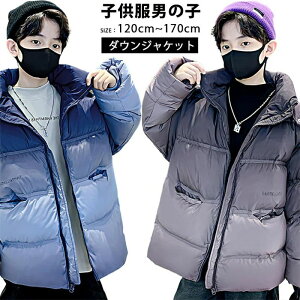 NX}XMtg  t@bV y h q j̎q t[ht WPbgR[g ۉ  g h J