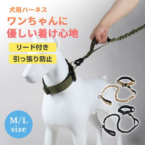 ` Ck  [h  p ́[˂ ⏕ U ybg  bN EȂ 킢  ^