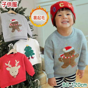 v[g h ʊw ʉ t ~ H Cxg \ a  p[eB[ RXv nEB 킢  ۉ T