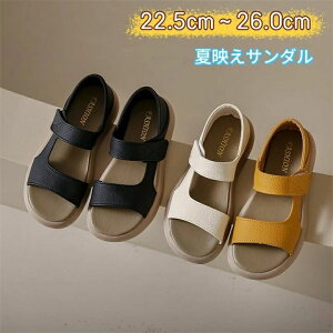  Ȃ ItBXT_  T_ fB[X ƂX|[cT_ EȂ Ȃ ₷ fB[X