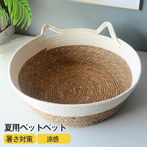 g ėp  xbh ybg ΍ObY Q cat ^  ˂ lR  L VRf  NbV xbh L