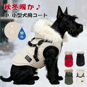 OJ hbOEFA   t[X  h ۉ ͂ h t@[t[h ^ ^ WPbg n[lX̌^ ~