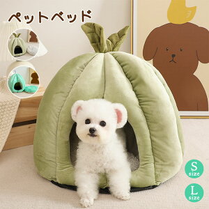 ybgpi  p k Vv  킢 ΍ LbgnEX  K OV[Y {A  