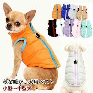 킢 ₷ g AE^[ ^ ^ h wJ R[g  DJt g ~ xXg ȓ ~