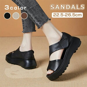 Vv wlC r ʋC Xj[J[ y y EH[LOV[Y r[`T_ JWA fB[X T_